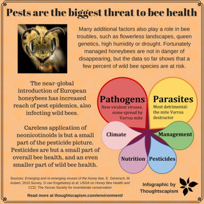 Bee health simple