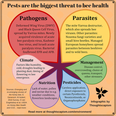 No Glyphosate Is Not A Threat To Bees Thoughtscapism