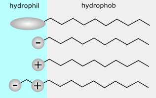 tensidehyrophilhydrophob