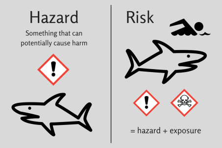 risk hazard sharks