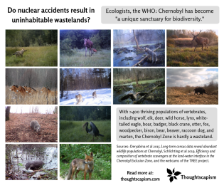 Chernobyl biodiversity