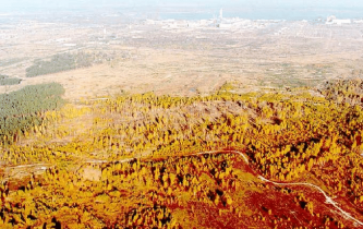 The-Red-Forest-with-the-Chernobyl-nuclear-power-plant-in-the-background-A-outline-of